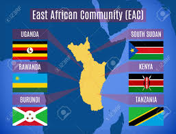 Les pays d’Afrique de l’Est partagent des “défis communs” sur la culture cotonnière