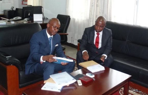 Pourquoi le CNARED agonisant a-t-il une phobie de l’Ambassadeur Ezéchiel NIBIGIRA ?