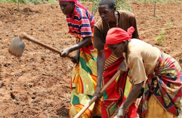 38,6 millions $ pour 99.200 ménages ruraux du Burundi grâce au FIDA afin de “réduire durablement la pauvreté”