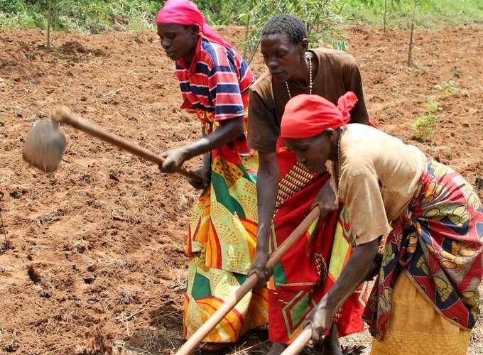 38,6 millions $ pour 99.200 ménages ruraux du Burundi grâce au FIDA afin de “réduire durablement la pauvreté”