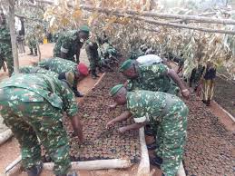 Les militaires burundais s’engagent à tout faire pour reboiser le pays
