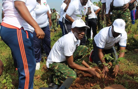 Burundi : La FDNB a participé aux activités de reboisement à Kabezi
