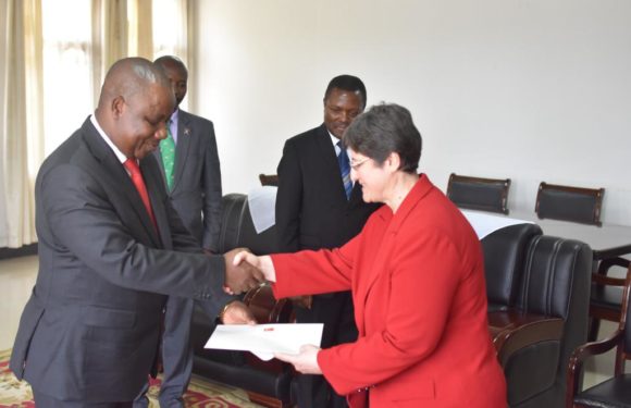 Burundi : Présentation des copies figurées des Lettres de Créances par l’Ambassadeur de Turquie au Burundi