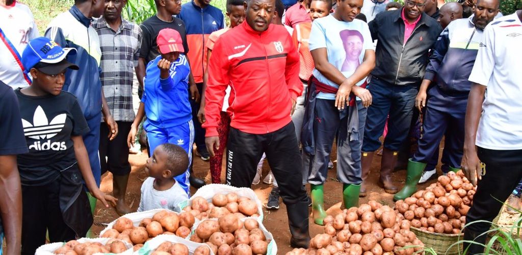 Burundi : Le Chef d’Etat procède à la récolte de pommes de terre …