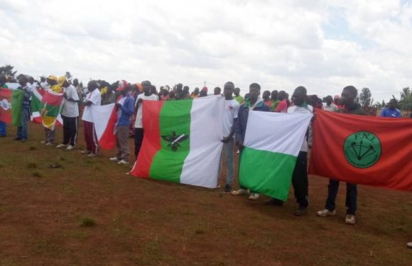Elections 2020 : Ngozi organise une journée sportive dédiée à la cohabitation pacifique entre les Partis Politiques du Burundi