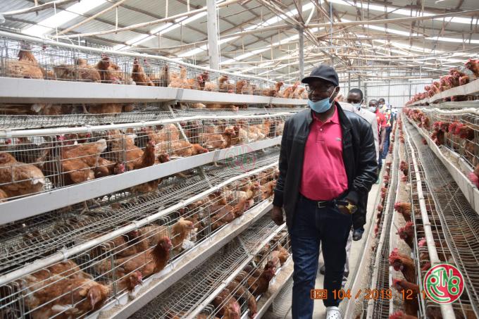 Ngozi/Gitega: Le Gouvernement entend redynamiser le secteur de l’élevage du petit