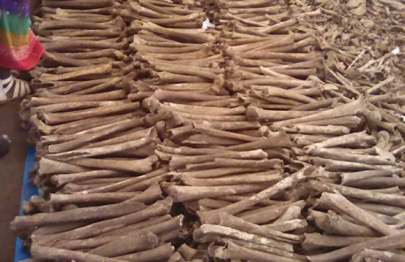 Génocide 1972 : Conférence de presse de la  CVR du Burundi – 6.032 corps trouvés dans 6 fosses à Karusi
