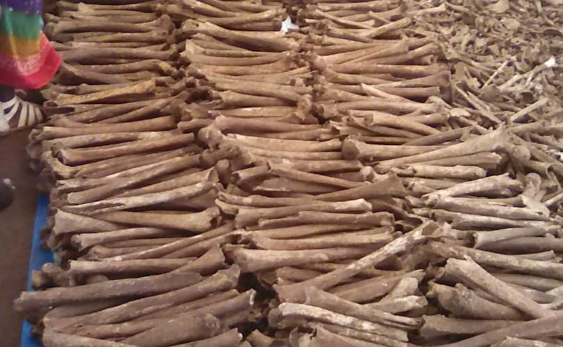 Génocide 1972 : Conférence de presse de la  CVR du Burundi – 6.032 corps trouvés dans 6 fosses à Karusi