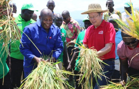 Chine : Le CNDD-FDD BUBANZA visite les coopératives SANGWE spécialisées riz / Burundi