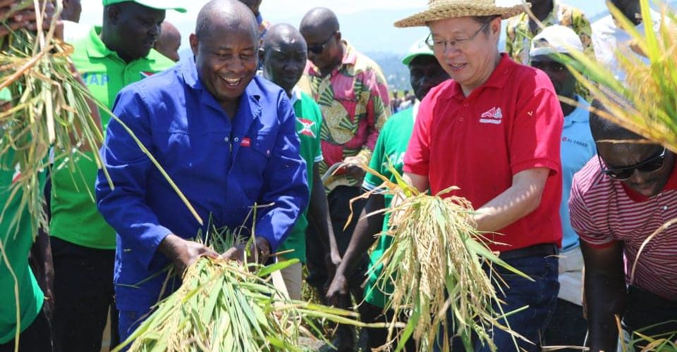 Chine : Le CNDD-FDD BUBANZA visite les coopératives SANGWE spécialisées riz / Burundi