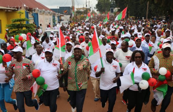 Sacrée journée pour le  CNDD-FDD NGOZI :  4.260 nouveaux membres, soit 2.897 ex-CNL / Burundi