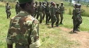 Militaires rwandais en RDC: les drôles de démentis du gouverneur et de l’ONU