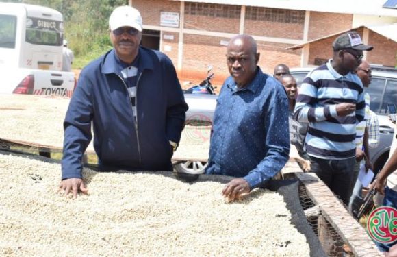 Le ministre en charge de l’agriculture visite les stations de dépulpage du café au centre et au Nord du pays