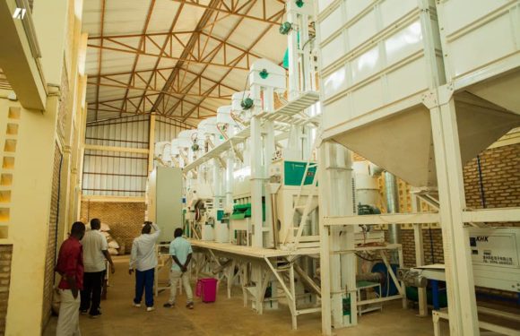 SOVAPA veut augmenter sa production de riz / BURUNDI