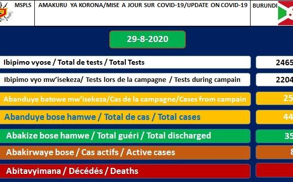 COVID-19 :  87 cas positifs sur 445,  357 guéris, 24659 tests et 1 décès particulier,  29-08-2020 / BURUNDI