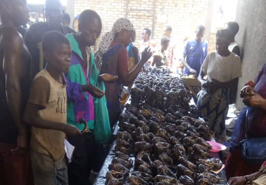 Les MUKEKE inondent le marché de BUBANZA / BURUNDI