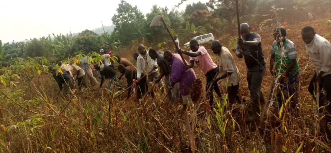 TRAVAUX DE DEVELOPPEMENT COMMUNAUTAIRE : Labourer un champ de 2 hectares pour les nécessiteux de KIRUNDO / BURUNDI
