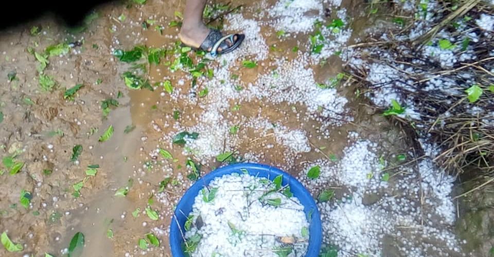 Dégâts causés par la pluie de grêle tombée à BUKINANYANA, CIBITOKE / BURUNDI
