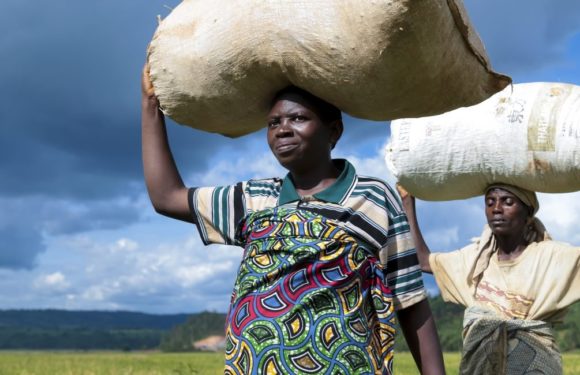BURUNDI : CONGERA, agricultrice – commerçante, en colline KIGERURA / BUZANZA