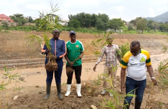BURUNDI : TRAVAUX DE DÉVELOPPEMENT COMMUNAUTAIRE – Planter des bambous sur les rives de la rivière NTAHANGWA