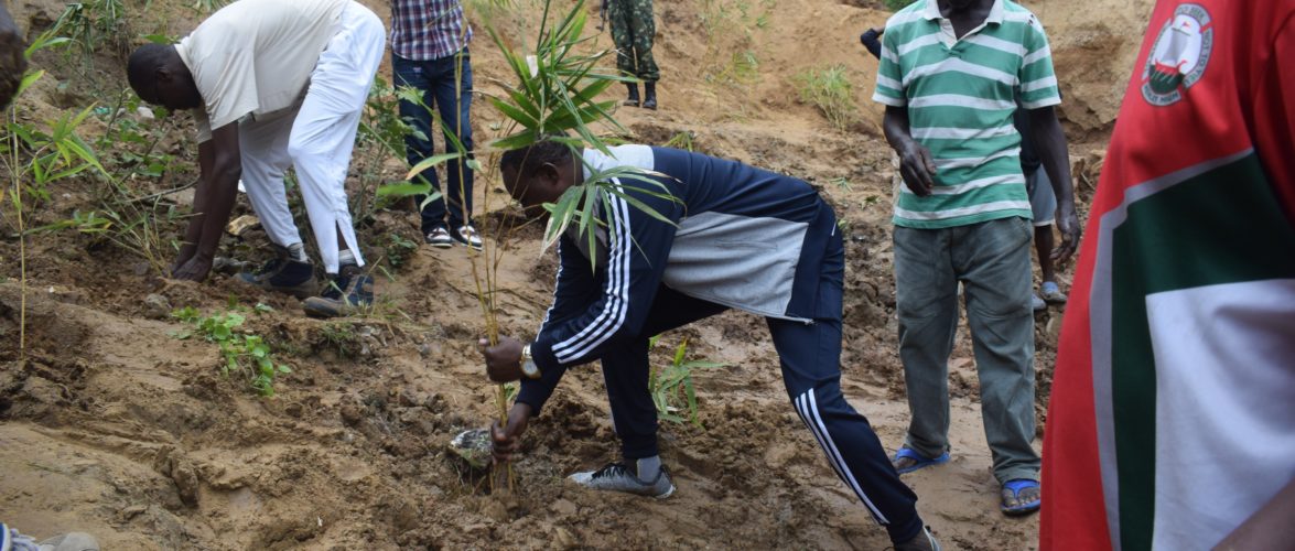 BURUNDI : TRAVAUX DE DEVELOPPEMENT COMMUNAUTAIRE – Planter plusieurs eucalyptus dans la vallée de NYAKIZU, MUHA / BUJUMBURA