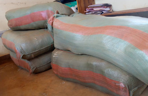 BURUNDI : Saisie de 540 paquets contenant des sachets en plastique à MABANDA / MAKAMBA