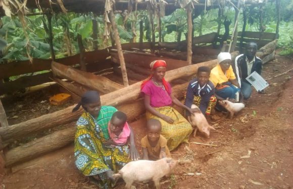BURUNDI : Une porcherie, une chèvrerie avec PRO-ACT1, RURANGA à BUKEMBA / RUTANA
