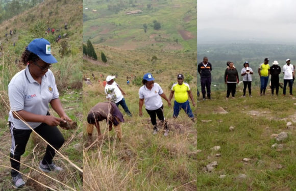 BURUNDI : TRAVAUX DE DEVELOPPEMENT COMMUNAUTAIRE – Planter 15.000 arbres en colline NYAGUTOHA / RUYIGI