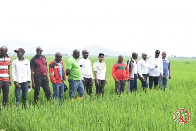 Le ministre en charge de l’environnement effectue une visite en province Bubanza