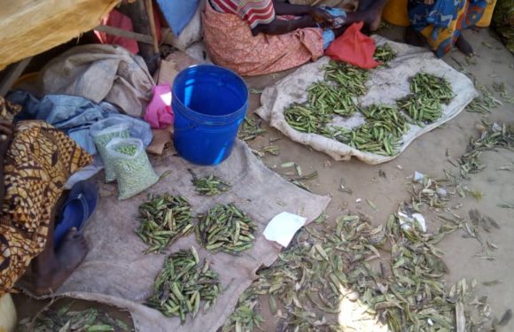 BURUNDI : Une légumière – commerçante du marché de KIVYUKA, MUSIGATI / BUBANZA