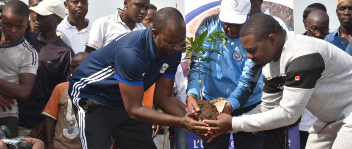 BURUNDI : Planter des arbres sur le BOULEVARD MWEZI GISABO à NTAHANGWA / BUJUMBURA