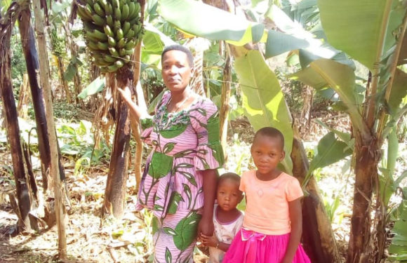 BURUNDI : Une cultivatrice a doublé sa production agricole à BURAZA / GITEGA