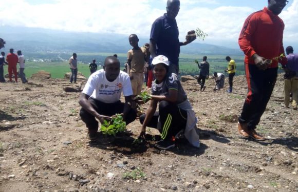 BURUNDI :  6.203 eucalyptus planté en colline KIBANGU à BUBANZA