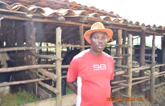 BURUNDI : Un AGRI-ELEVEUR de la colline NYANKARA à MAKAMBA