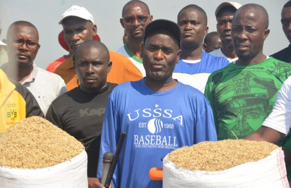 BURUNDI : TRAVAUX DE DEVELOPPEMENT COMMUNAUTAIRE – Récolter du riz en zone BUTERERE, NTAHANGWA / BUJUMBURA