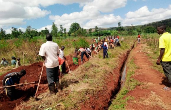 BURUNDI : TRAVAUX DE DEVELOPPEMENT COMMUNAUTAIRE – Tracer des courbes de niveaux à MUSENGA, BUHIGA / KARUSI