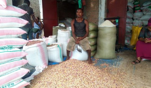 BURUNDI : Le secret d’une culture de haricots abondante à BUSONI / KIRUNDO