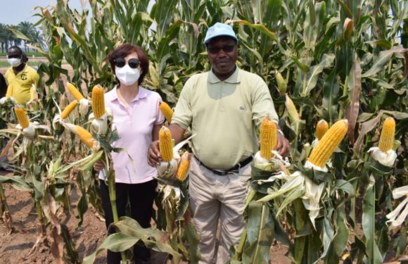 BURUNDI / CHINE : Visite du Centre Pilote Agricole de GIHANGA, BUBANZA