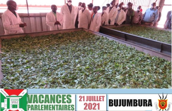 BURUNDI : Visite de l’OTB en zone JENDA à MUGONGO-MANGA / BUJUMBURA