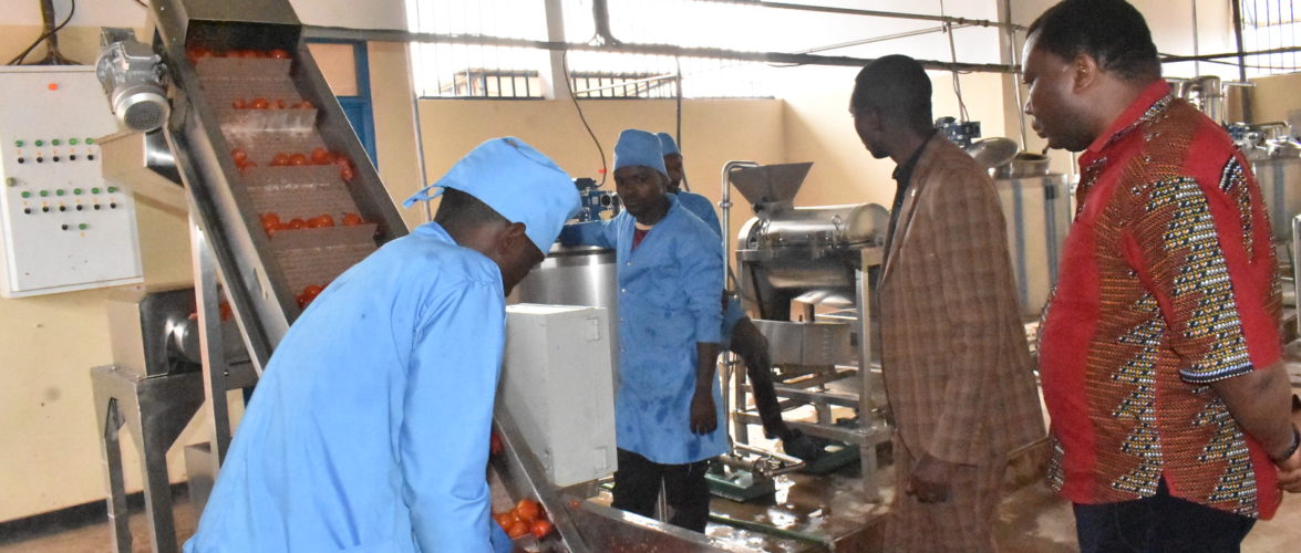 BURUNDI : Visite d’une coopérative de transformation de tomates à VYERWA / NGOZI