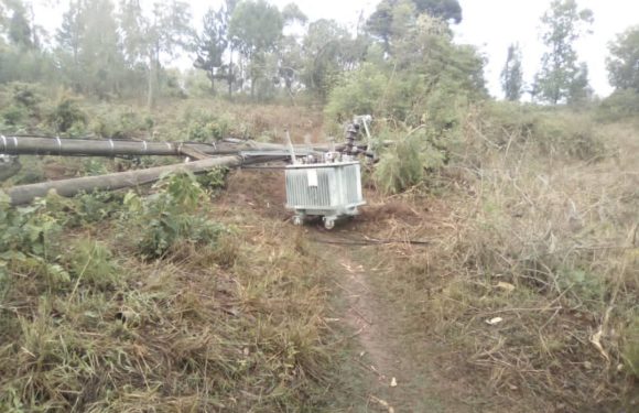 BURUNDI : Une forte pluie détruit 25 maisons et des poteaux électriques à MAKAMBA