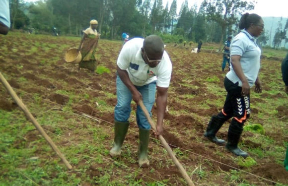 Burundi : La gouverneure TABU et des cultivateurs plantent du maïs à RUYIGI