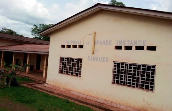BURUNDI / JUSTICE : Loi sur la stabulation – 1 éleveur condamné à CANKUZO