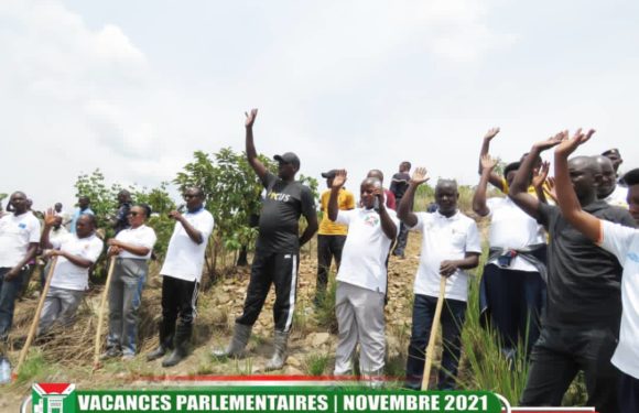 BURUNDI : TRAVAUX DE DEVELOPPEMENT COMMUNAUTAIRE – Evider des creux pour planter des arbres à KIBANDE / CANKUZO