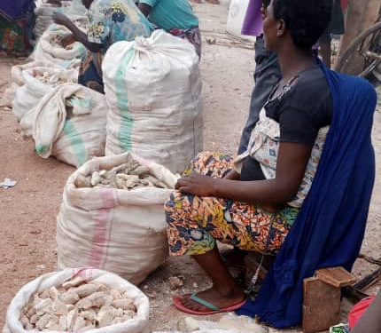 BURUNDI : Une agricultrice – vendeuse vend du manioc sec à 750 BIF par kg / RUYIGI