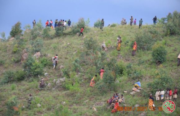 Gitega: Plus de 8 mille plants d’eucalyptus plantés sur la chaîne de montagne Cene-Murago