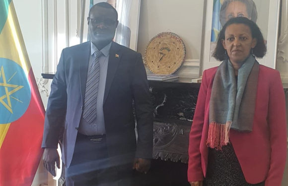 BuRuNDi / ETHIOPIE : Amb. NTaHiRaJa Thérence reçoit Amb. HiRuT ZeMeNe, Bruxelles, BELGIQUE