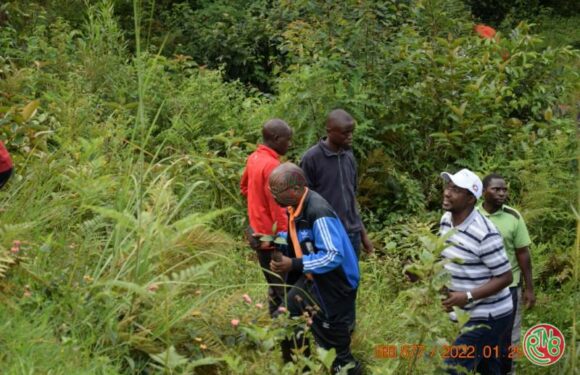 L’Université du Burundi veut restaurer les forêts autochtones au Burundi