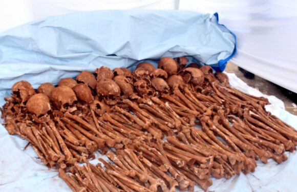 Génocide contre les BaHuTu en 1972 au BuRuNDi : Plus de 260 restes humains exhumés de 4 fosses à MaToNGo / KaYaNZa