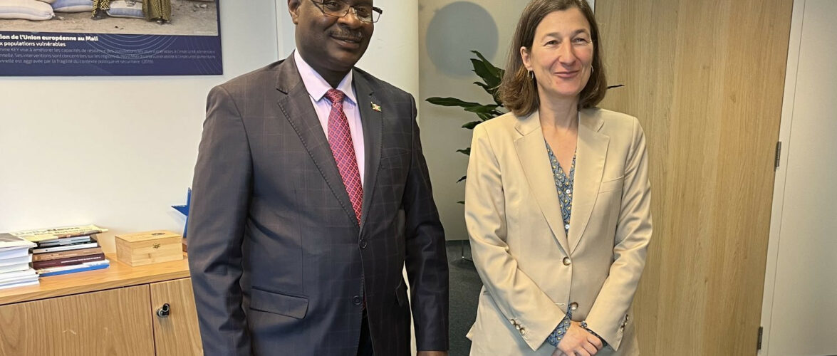 Burundi / UE : Amb. Ntahiraja Thérence rencontre la directrice du SEAE